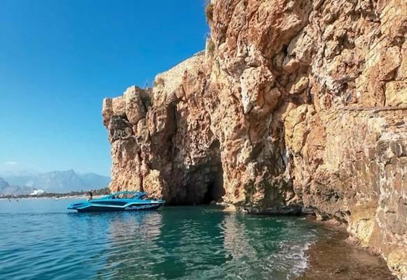 Akdeniz foku yavrularına mağara turu tehdidi
