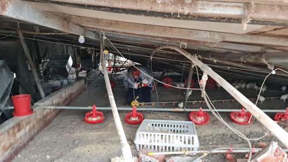 Düzcede depremin yaraları sarılıyor