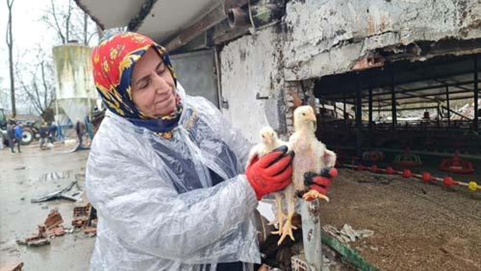 Düzcede depremin yaraları sarılıyor