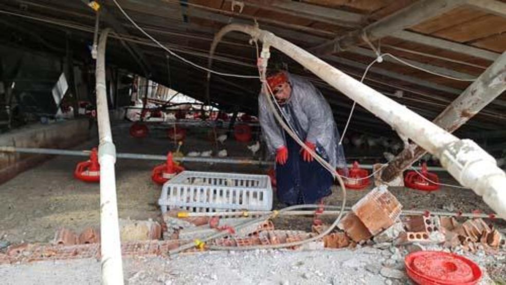 Düzcede depremin yaraları sarılıyor