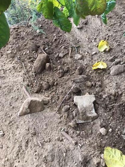 İnşaat kazısında insan kafatası ve kemikleri bulundu