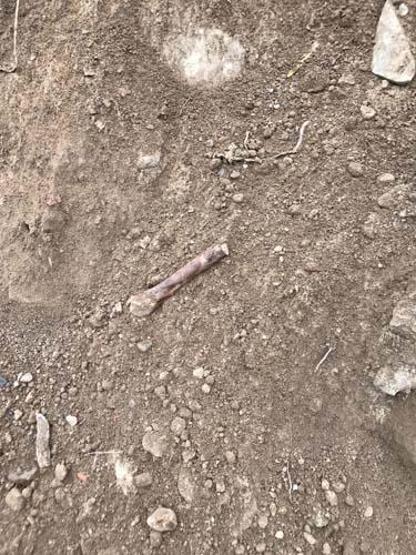 İnşaat kazısında insan kafatası ve kemikleri bulundu