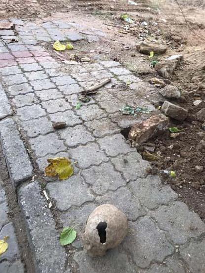 İnşaat kazısında insan kafatası ve kemikleri bulundu
