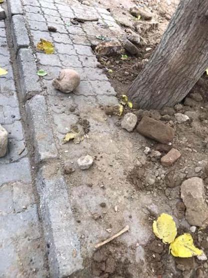 İnşaat kazısında insan kafatası ve kemikleri bulundu