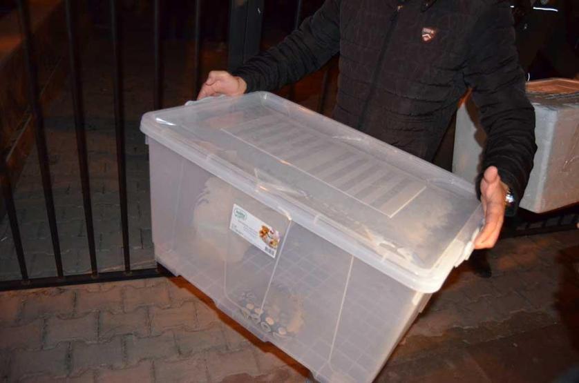 Aksarayda 1 kraliyet pitonu ile 10 sakallı ejder ele geçirildi