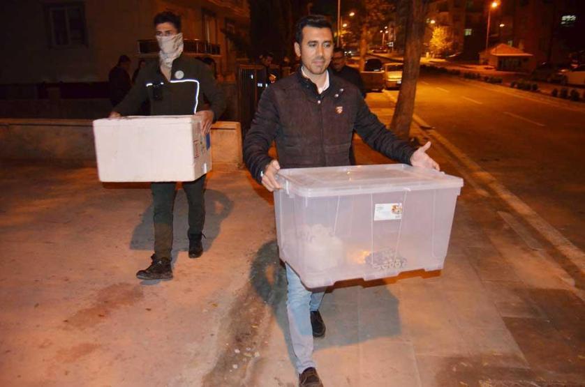 Aksarayda 1 kraliyet pitonu ile 10 sakallı ejder ele geçirildi