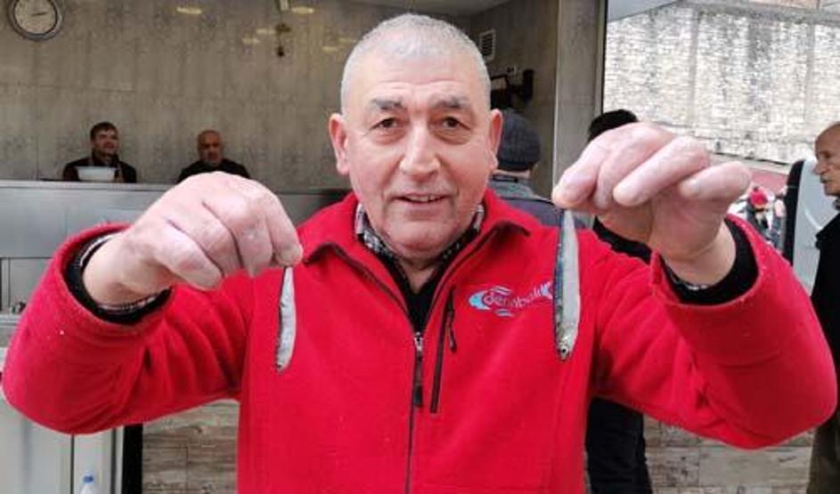 Karadenizde hamsi avı yasaklansın çağrısı