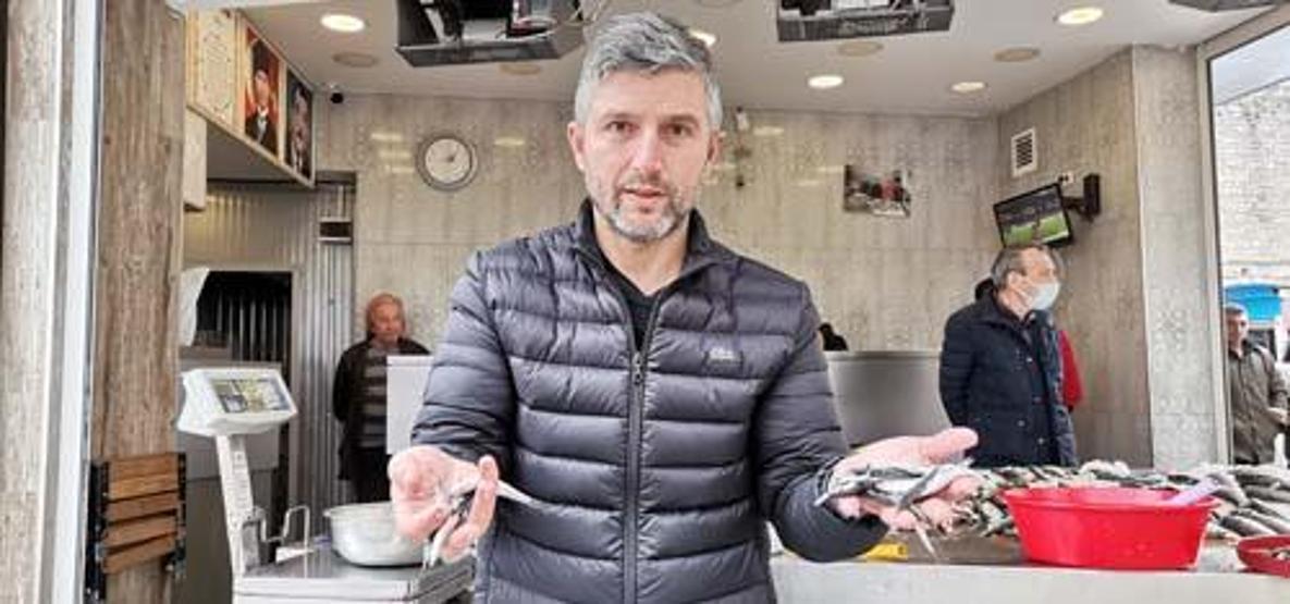 Karadenizde hamsi avı yasaklansın çağrısı