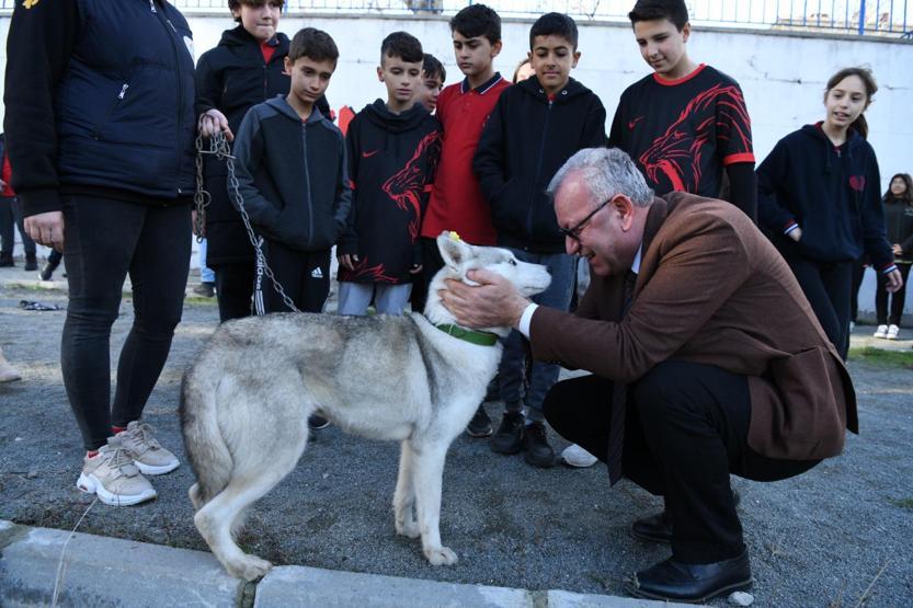 Öğrenciler Köpük için sandığa gitti: Okulun maskotu olacak