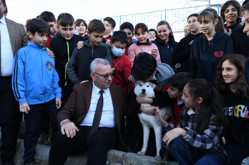 Öğrenciler Köpük için sandığa gitti: Okulun maskotu olacak