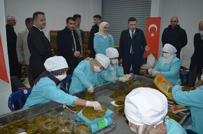 Asma yaprağı köylü kadınların kazanç kapısı oldu