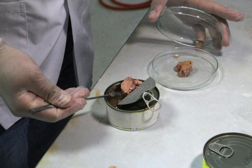 Konserve balıktan mikroplastik çıktı