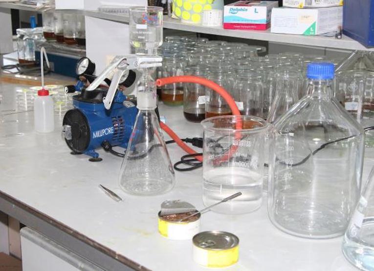 Konserve balıktan mikroplastik çıktı