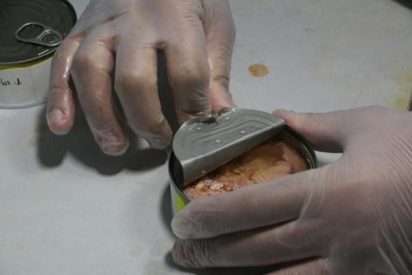 Konserve balıktan mikroplastik çıktı