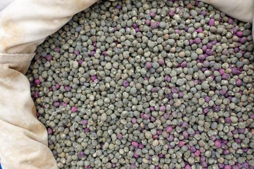 Sabahları halsiz uyananlar dikkat Bu besini tüketenler zımba gibi uyanıyor