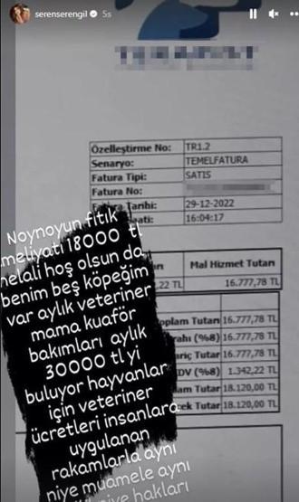 Seren Serengilin beş köpeğinin aylık masrafı gündem oldu
