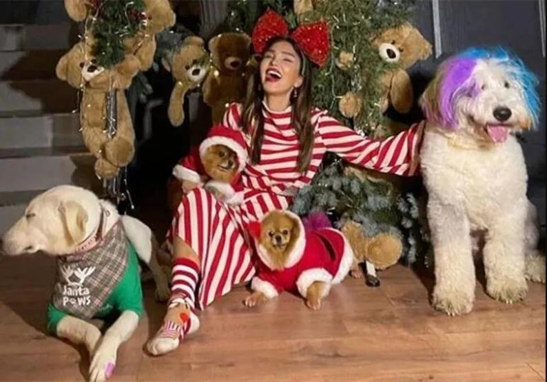 Seren Serengilin beş köpeğinin aylık masrafı gündem oldu