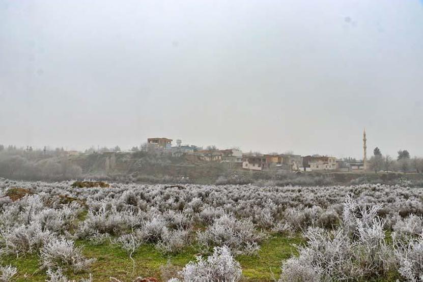 Dicle Vadisi, kırağı ile birlikte beyaza büründü