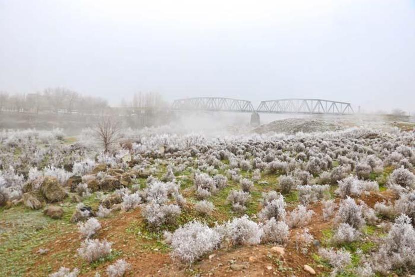 Dicle Vadisi, kırağı ile birlikte beyaza büründü