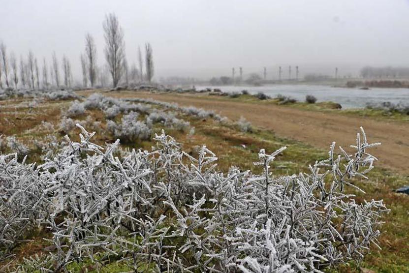 Dicle Vadisi, kırağı ile birlikte beyaza büründü