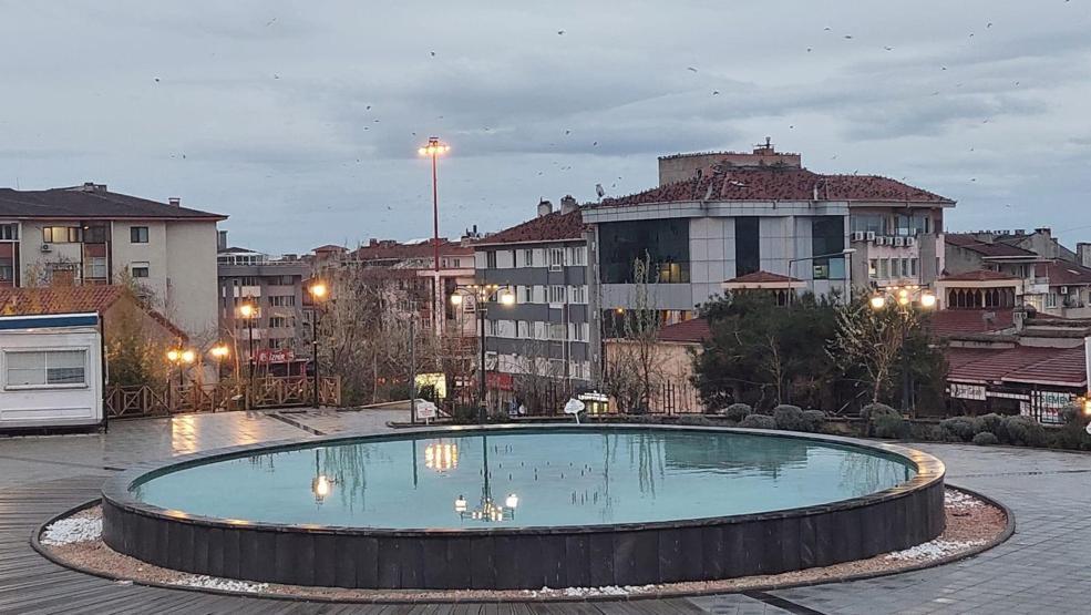Diğer kuşlara havayı dar ettiler: Korku filmlerinden çıkmış gibi görüntü