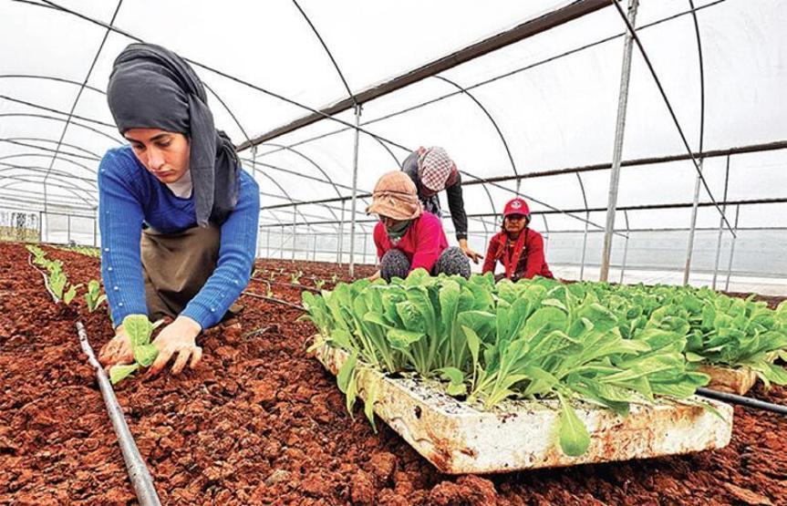 Şanlıurfa’nın gizli hazinesi: Siverek Banu Şen yazdı...