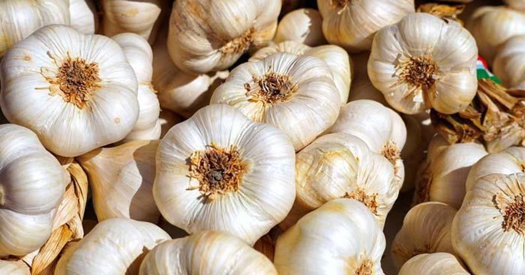Hepsi vitamin deposu Sofranızdan eksik etmeyin