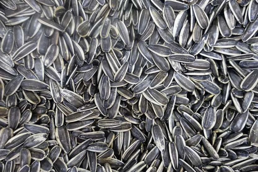 Bu etkilerini ilk kez duyacaksınız Stresin bir numaralı ilacı, doğal antidepresan çekirdek Yerken geçici rahatlama hissi veriyor, çıtlama sesi stres attırıyor