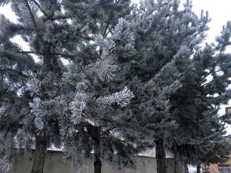 Ardahan buz kesti; eksi 24 derece
