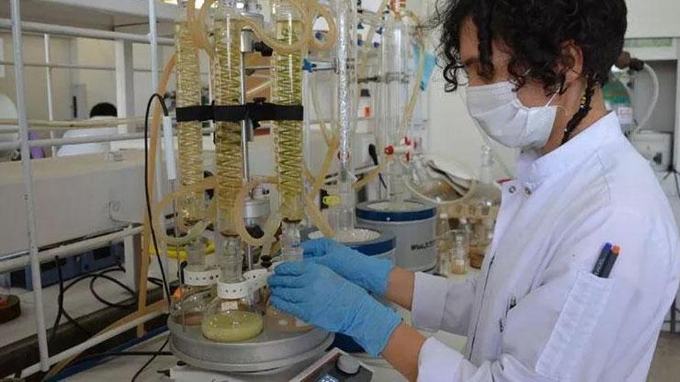 Gizemli hastalık: Sırrı neden hâlâ çözülemedi Her şey 2013te başladı