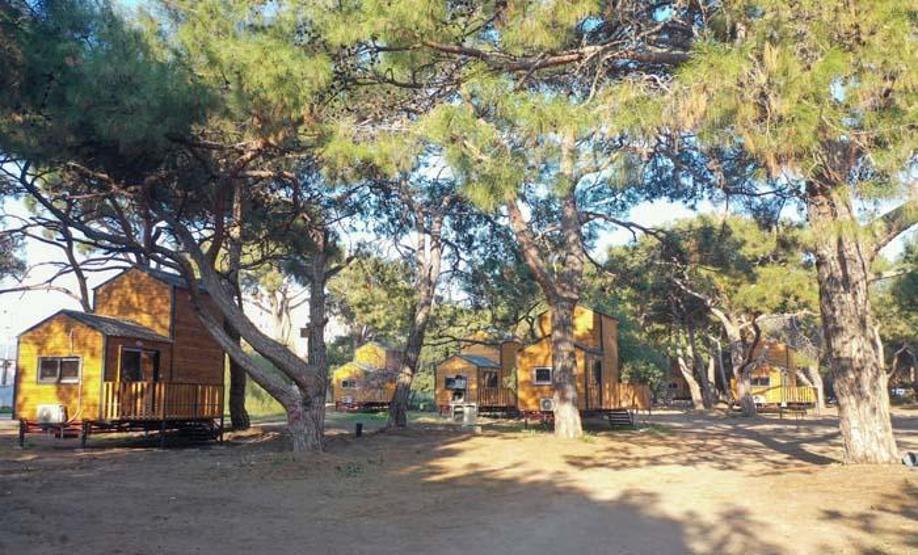 Doğayla iç içe tatil arayanların gözdesi: bungalov ve glampingler