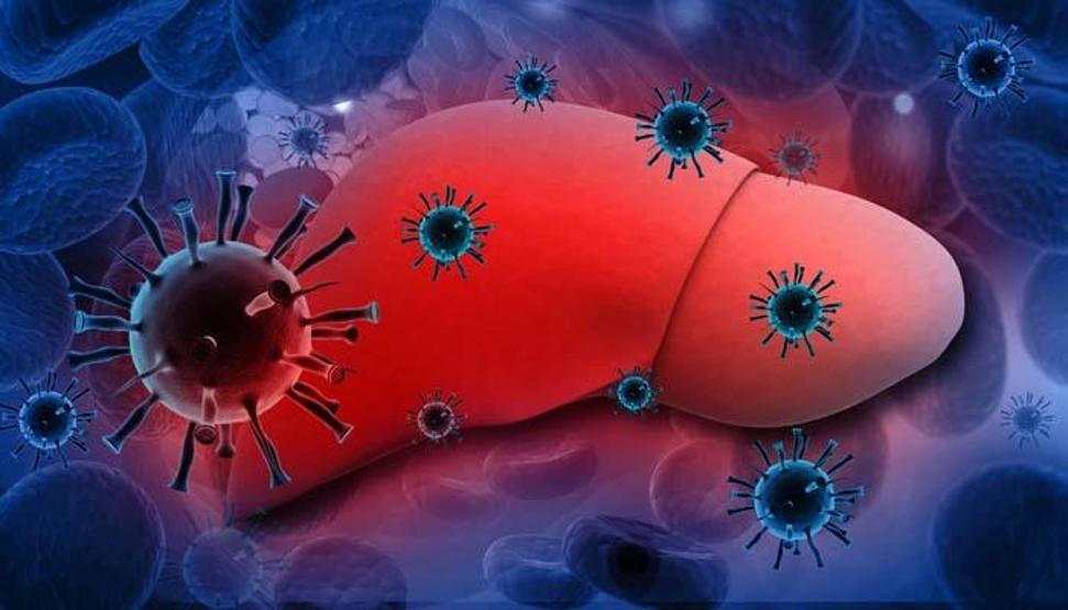 Hepatit B Nasıl bulaşır, belirtileri neler Jan Klod Kayuka yazdı...