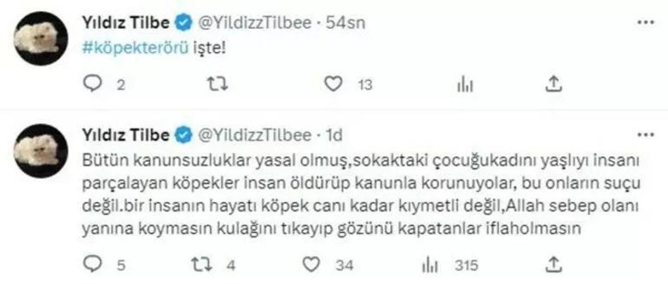 Yıldız Tilbe: İnsan hayatı doğadaki bütün canlıların hayatından daha önemli