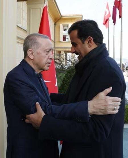 Erdoğan, Katar Emiri Şeyh Temim Bin Hamad Al Sani ile görüşüyor