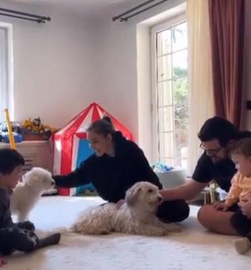 Eser Yenenler ile Berfu Yenenler çifti depremde kurtulan köpekleri sahiplendi