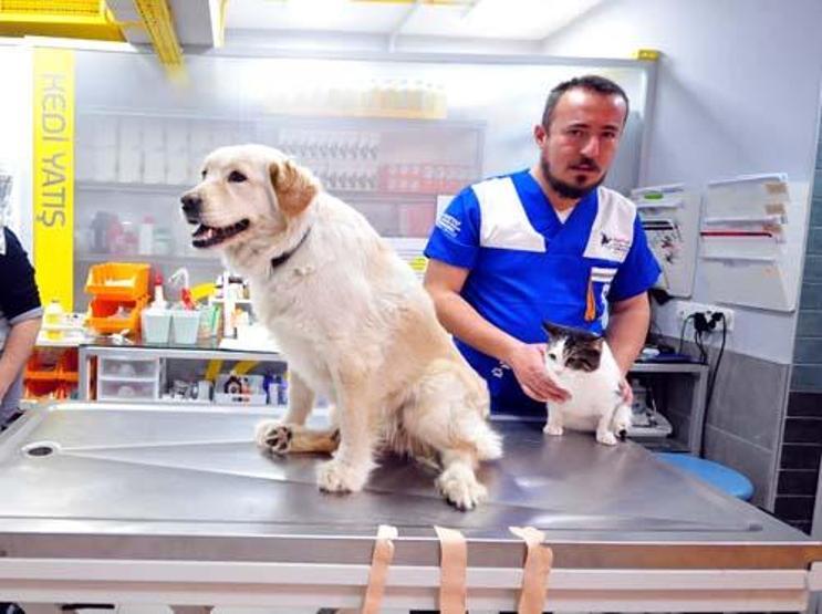 Depremde yaralı kurtarıldı: İsmi Mucize çıktı