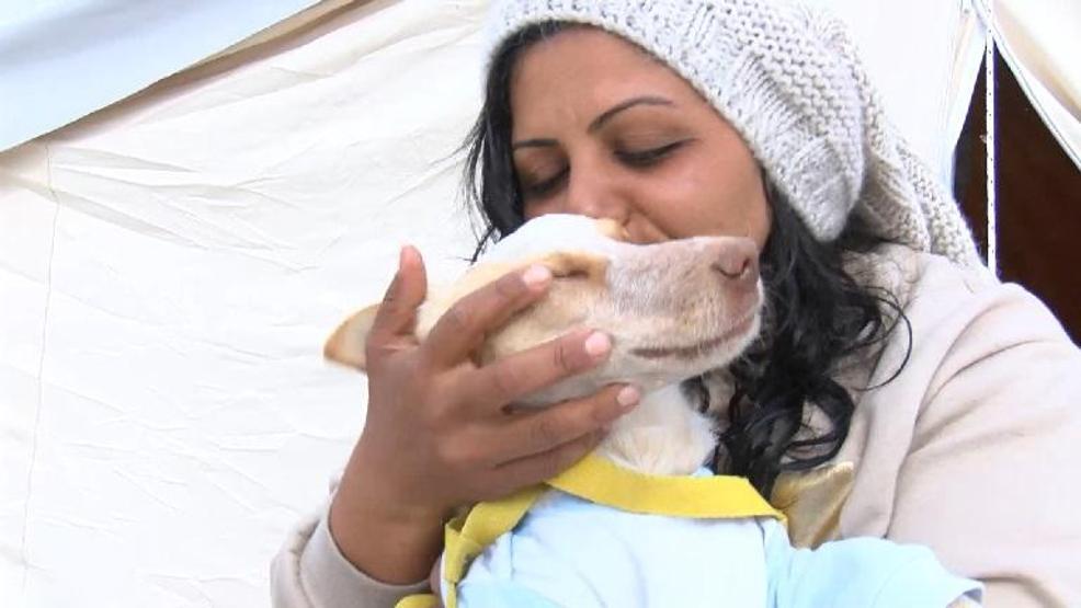 Deprem sırasında köpeği uyandırdı, çocuklarıyla ağır hasarlı evinden çıktı