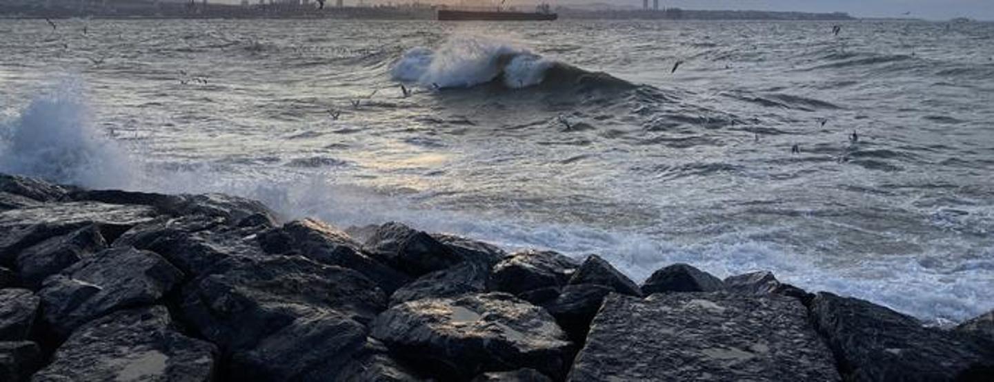 Olası Marmara depreminde tsunami riski hangi bölgelerde yüksek Uzman isim açıkladı