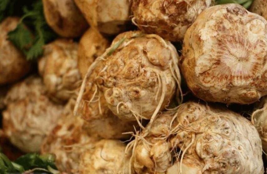 Balgam ve öksürükten eser bırakmıyor Akciğerleri yeniden doğmuş gibi yapıyor