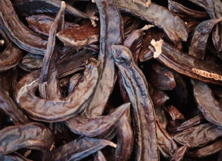 Balgam ve öksürükten eser bırakmıyor Akciğerleri yeniden doğmuş gibi yapıyor