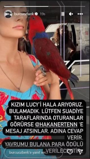 Burcu Özberkin papağanı kaçtı