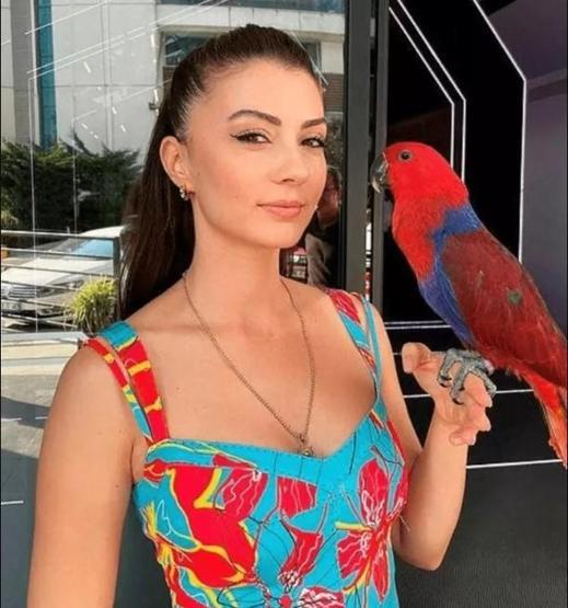 Burcu Özberkin papağanı kaçtı