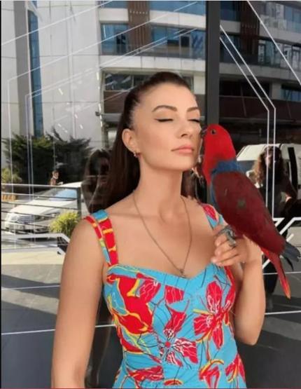 Burcu Özberkin papağanı kaçtı