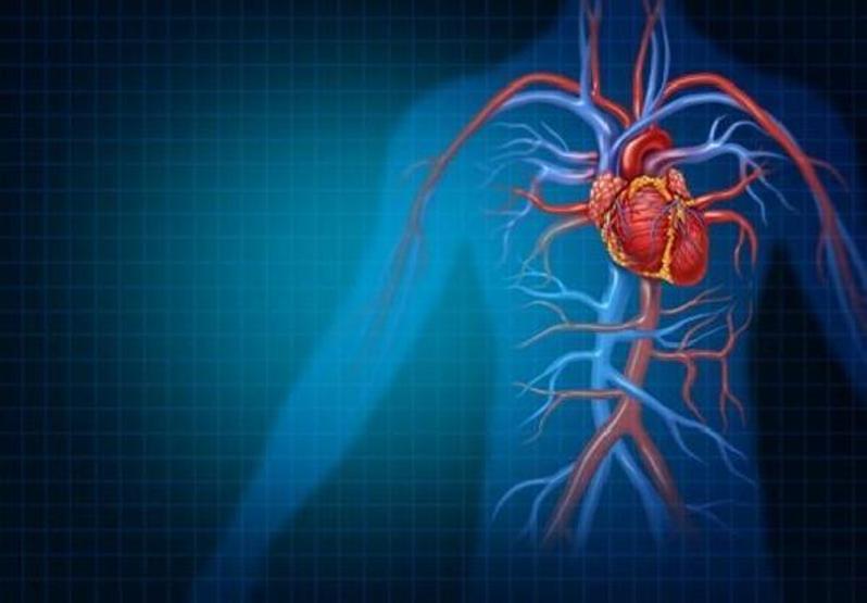 Nefes darlığı, çarpıntı, morarma... Kalbiniz alarm veriyor olabilir Uzmanından kalbi koruyacak 6 önemli kural