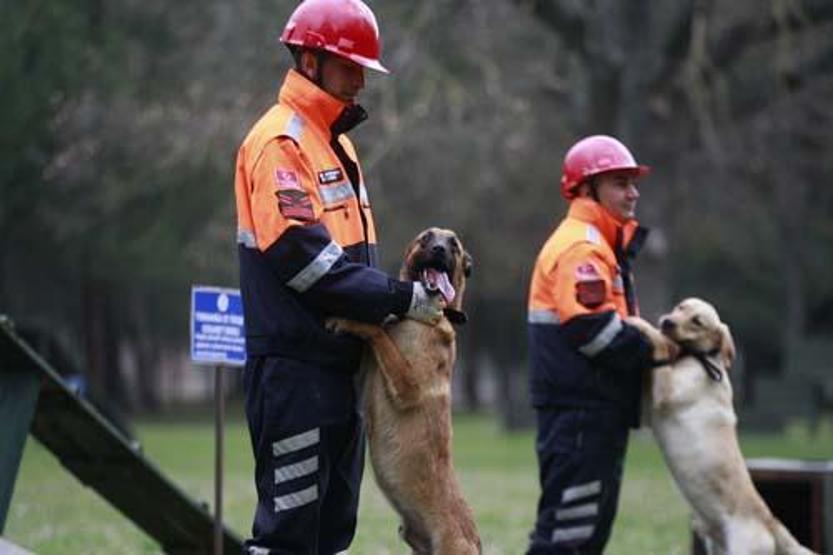 Sessiz kahramanlar TSK’nın arama köpekleri 78 kişiyi kurtardı