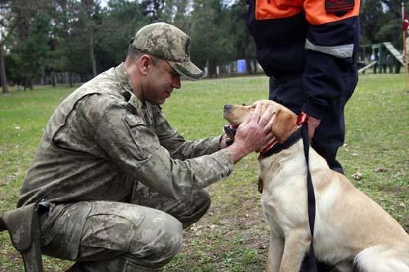 Sessiz kahramanlar TSK’nın arama köpekleri 78 kişiyi kurtardı