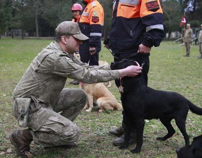 Sessiz kahramanlar TSK’nın arama köpekleri 78 kişiyi kurtardı