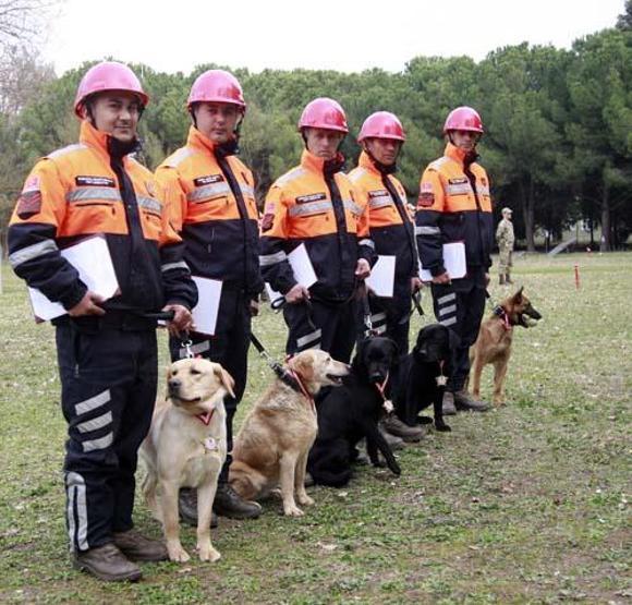 Sessiz kahramanlar TSK’nın arama köpekleri 78 kişiyi kurtardı