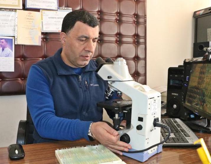 Yaşam alanlarımızdaki tehlike: Maytlar Çocuklarda ciddi sağlık problemlerine yol açabilir