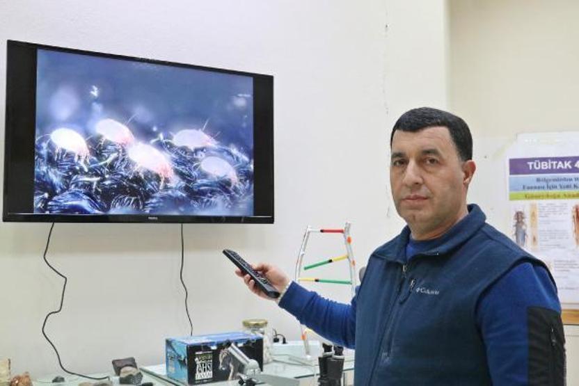Yaşam alanlarımızdaki tehlike: Maytlar Çocuklarda ciddi sağlık problemlerine yol açabilir